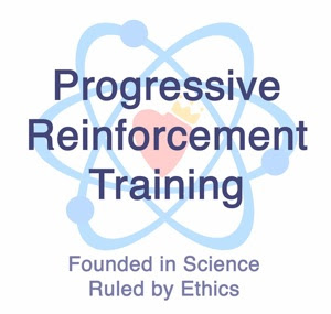 Progressive Reinforcement Training