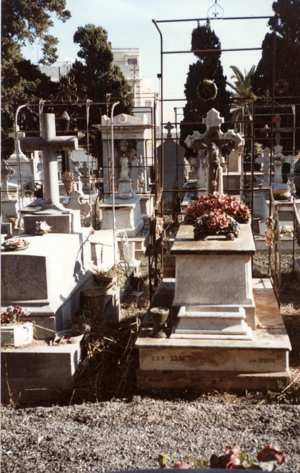 Le cinéma de François Chroniques Algéroises, le cimetière de Saint Eugène