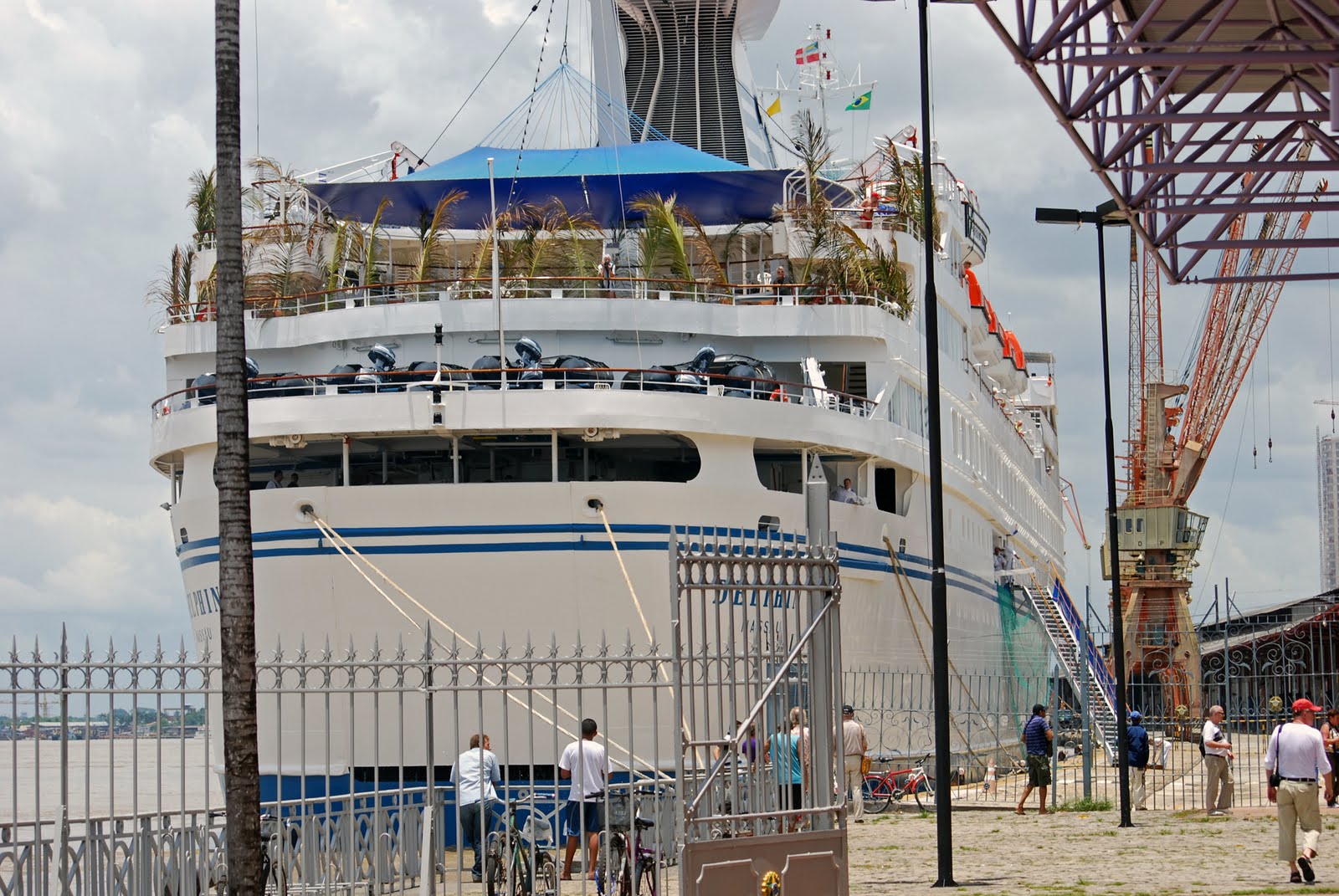 [delphin1.jpg]