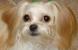 Hello, my name is Annie