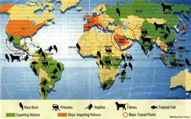 [mapa+mundi+de+animais+em+extinção.jpg]