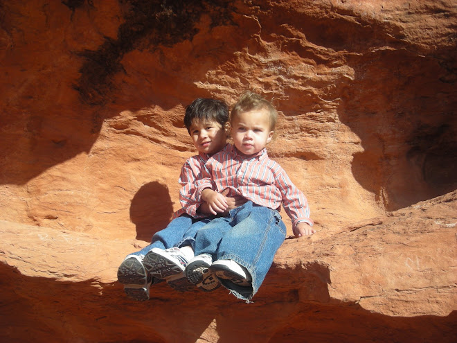 One Sunny day in Jan 2008