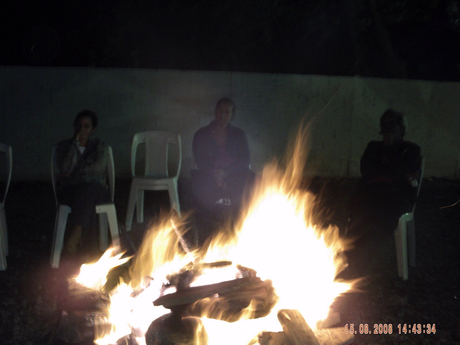 [PICT0084.JPG]