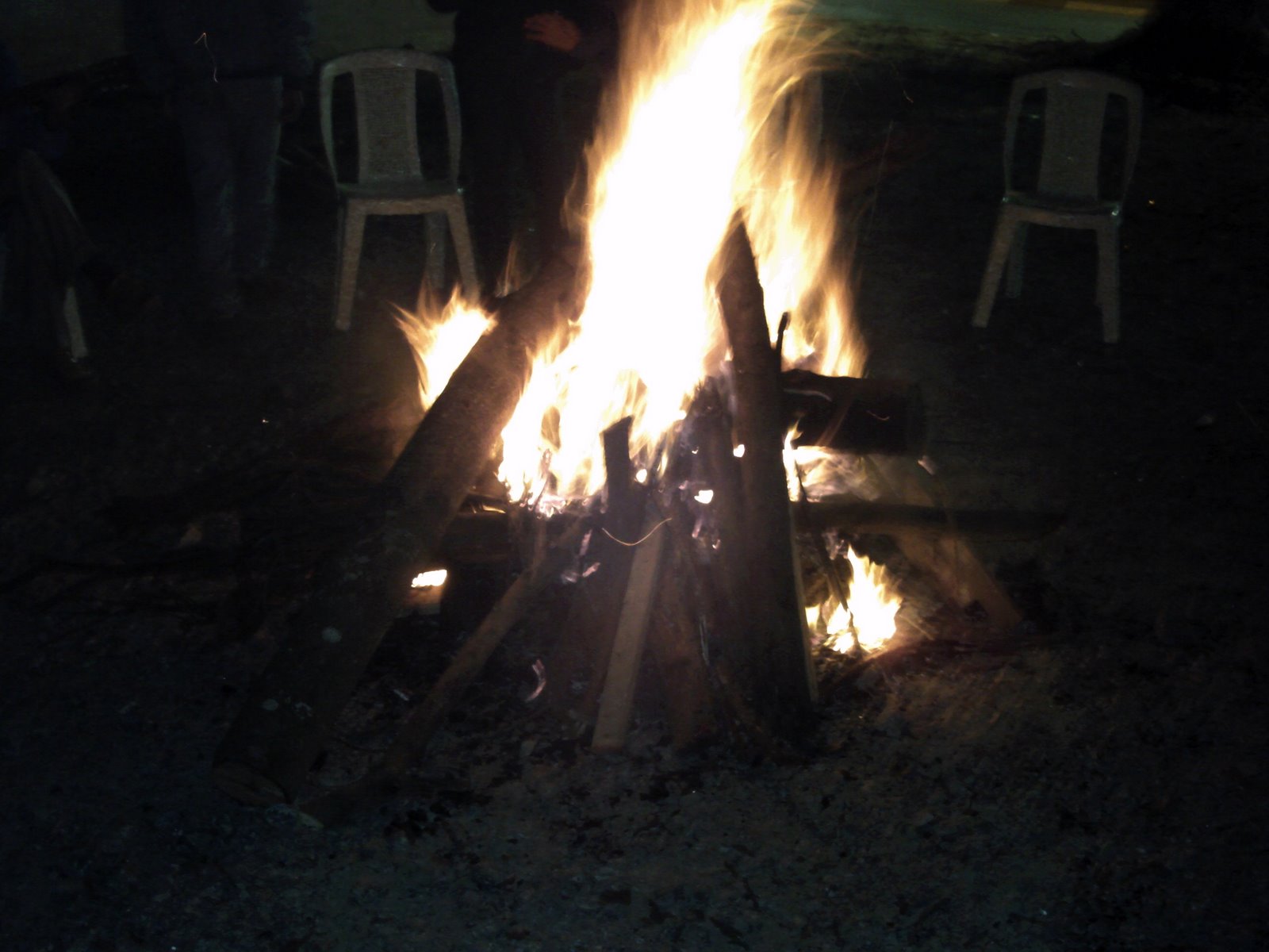 [PICT0017.JPG]