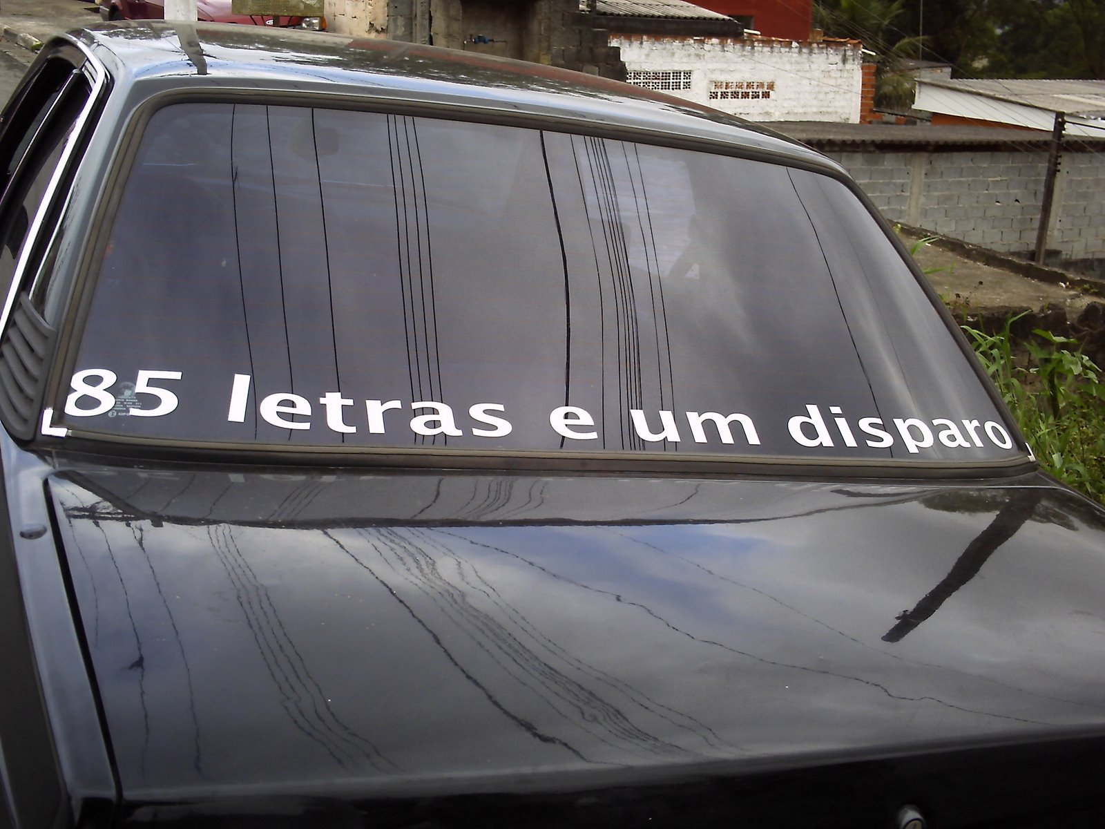 [PICT0020.JPG]