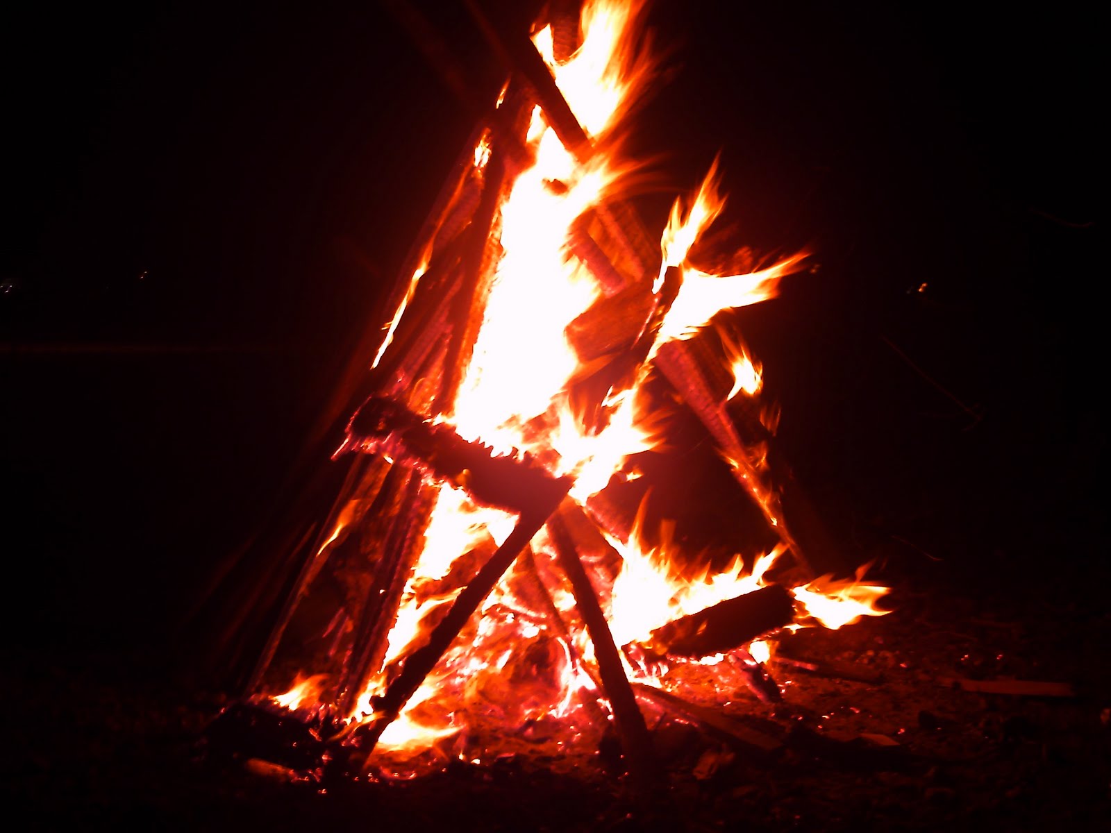 [pict0104.jpg]
