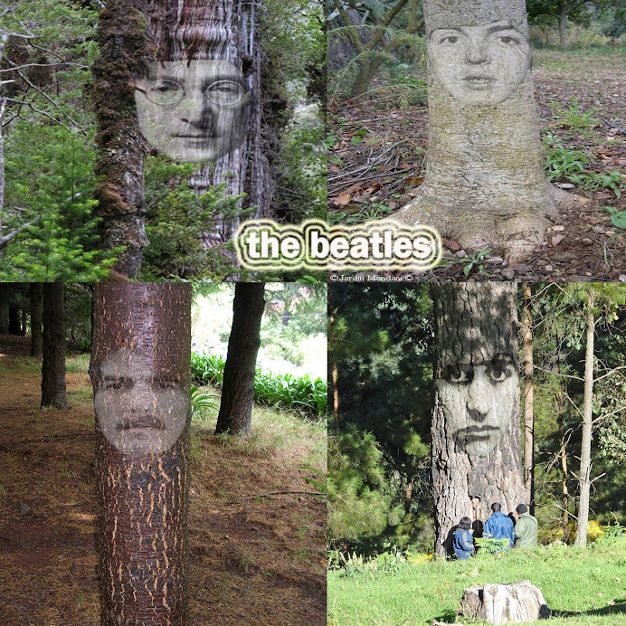 The Beatrees