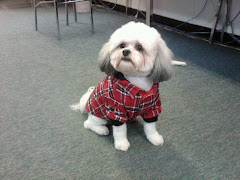 Diego's Christmas Sweater