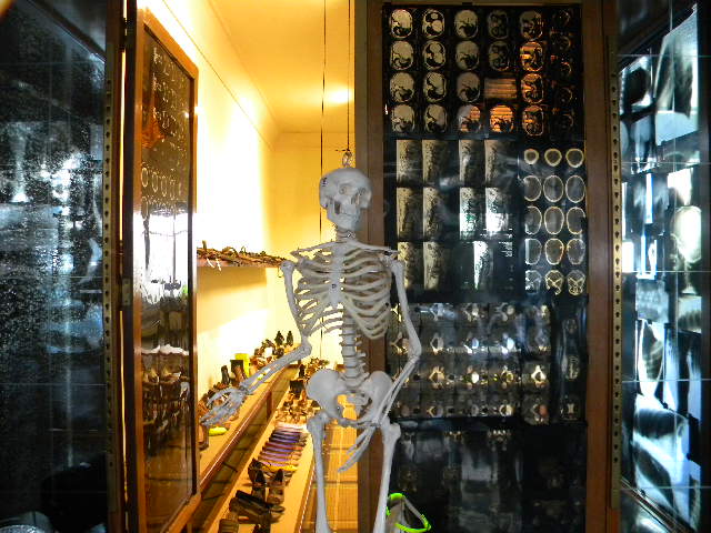 FRENCH FASHIONISTA: VITRINE PART III 2010