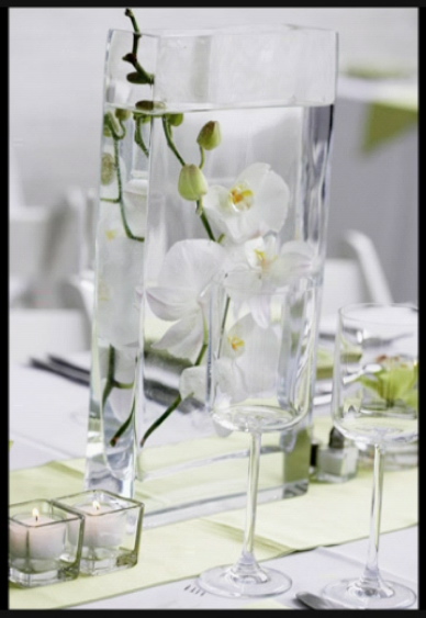[Orchid.jpg]