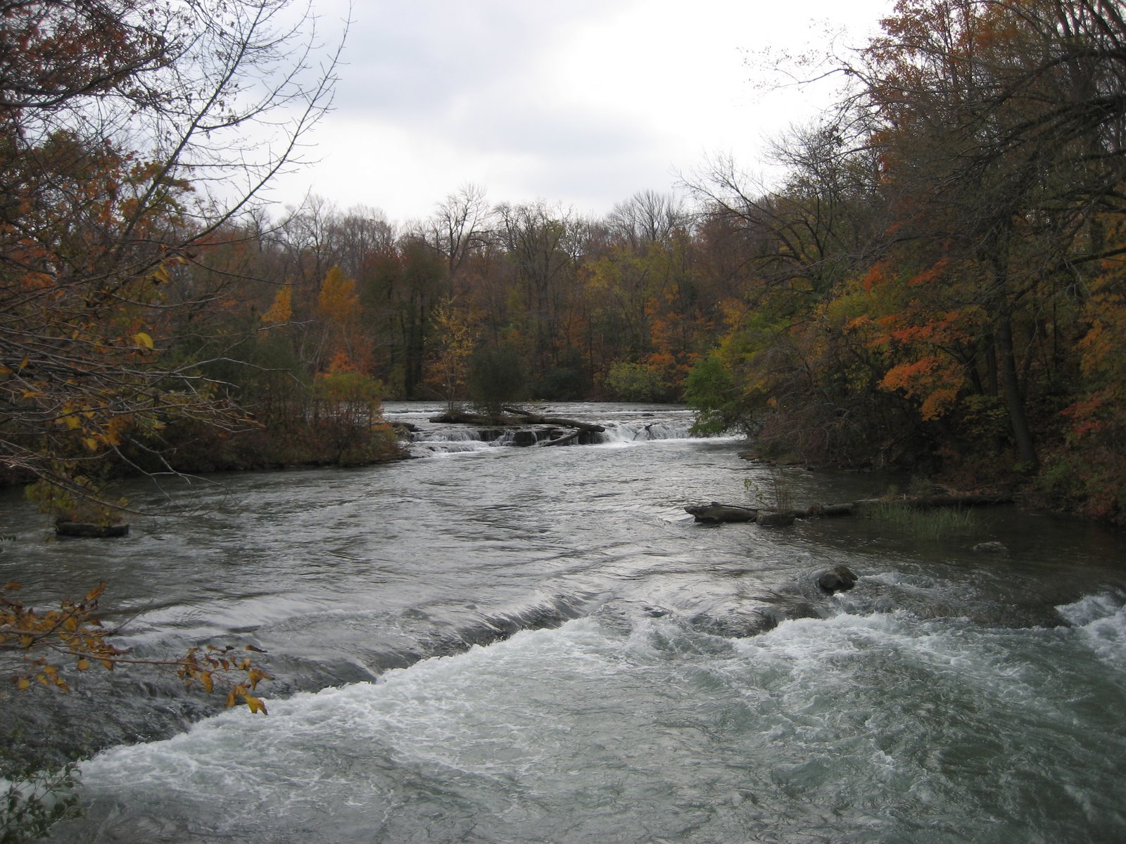 [IMG_2212.JPG]