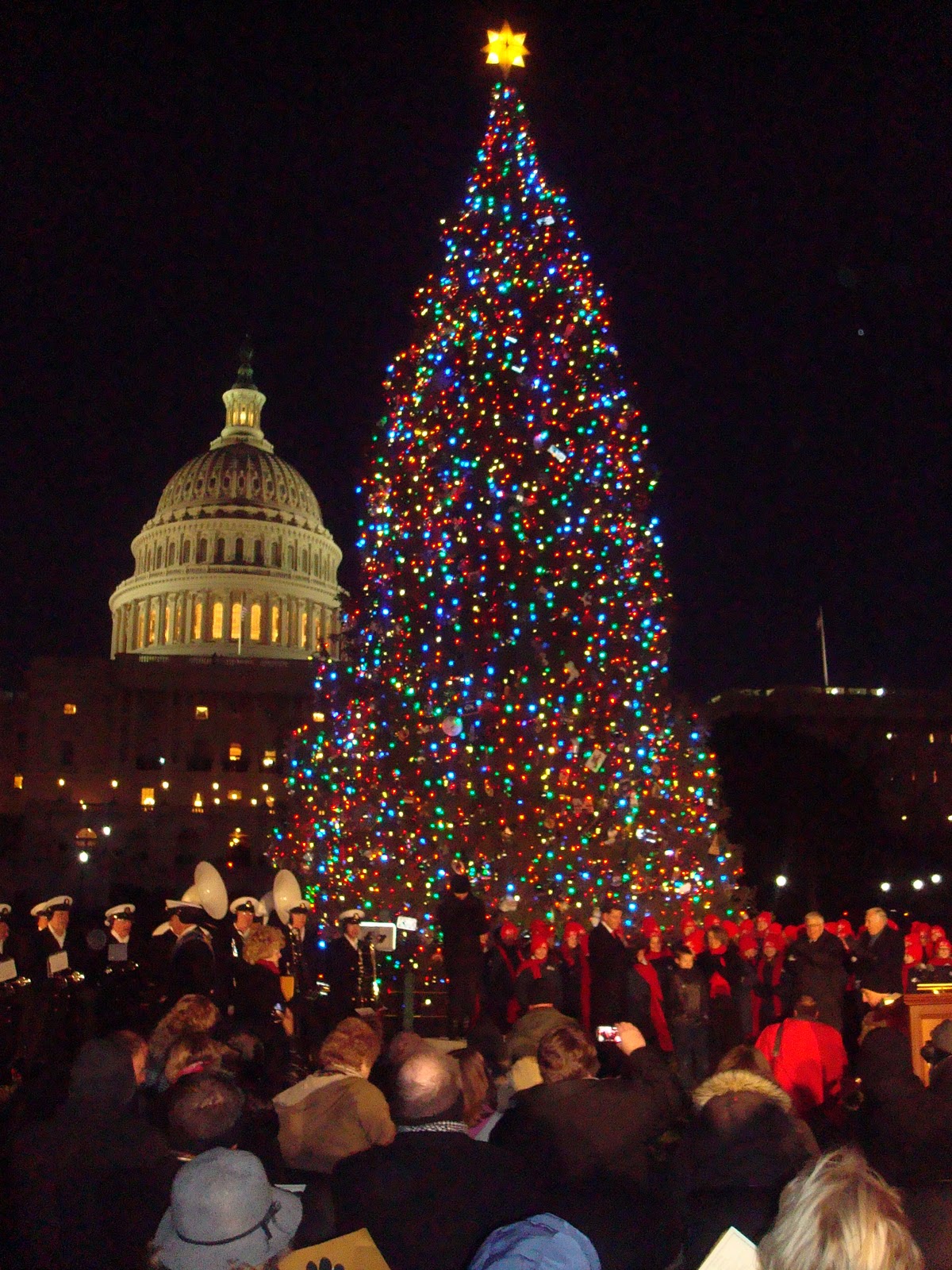 Capitol Christmas Tree 2010 Wyoming's Tree Lights Up Washington, DC!