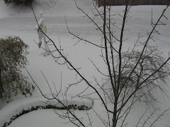 Winter Wonderland