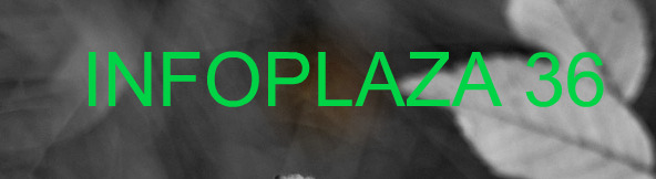 Infoplaza#36 Canto del Llano