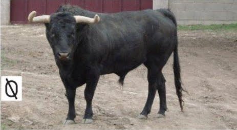 Cornellà de terri chicos solteros Cornellà de terri chicos solteros