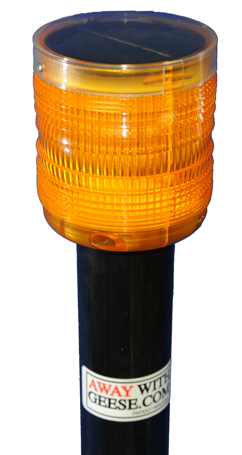 Controlling Algae Pond Management Tips from AlgaeControl.US Away with