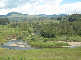 Kagul River