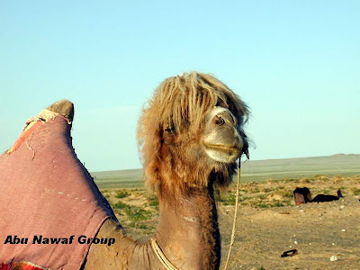 LASITH+MALINGA.jpg