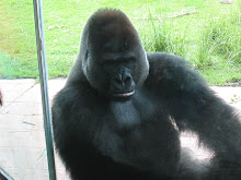 Heres Looking At You Kid