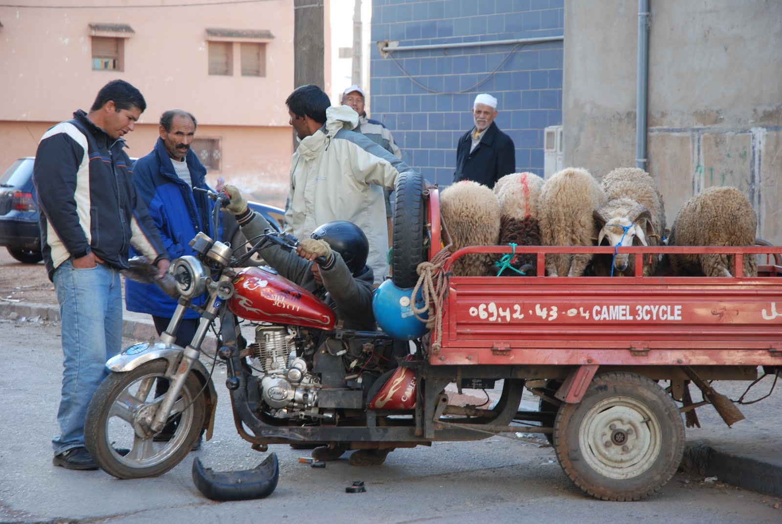 des bretons au maroc La fête du mouton!