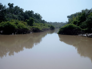 Arli river