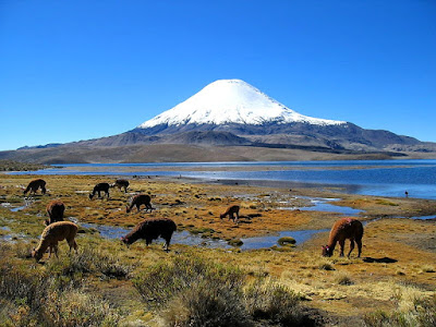 Parinacota volcano