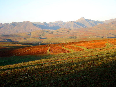 Landscape of Lesotho