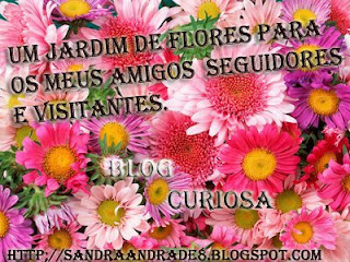 http://4.bp.blogspot.com/_vzrlnu76oJw/SmYh3JjDZ3I/AAAAAAAABx4/aoIqoirdg8s/s320/Floresparaisa.+c%C3%B3pia.jpg