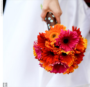 https://4.bp.blogspot.com/_w-08M_QTh2U/Sgg3GDndTLI/AAAAAAAAAlE/zu1OHo6UgRA/s1600/orange,red,%2Bpink%2Bgerbera.jpg