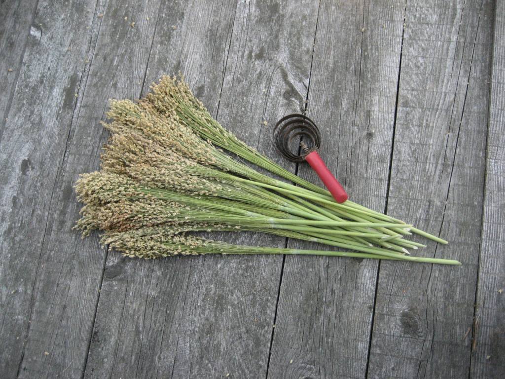 The Farmers' Museum Broom Corn Harvest