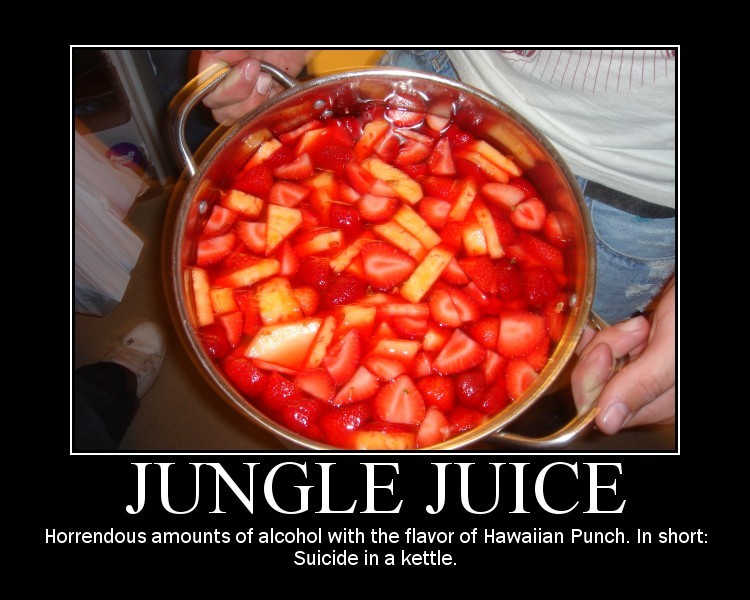 Somewhat Funny Things Jungle Juice