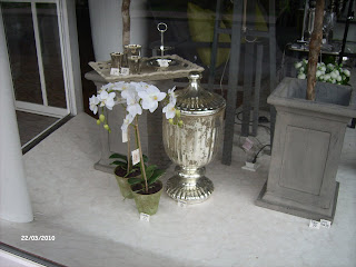 Rosenreslis Traum: Schaufensterbummel