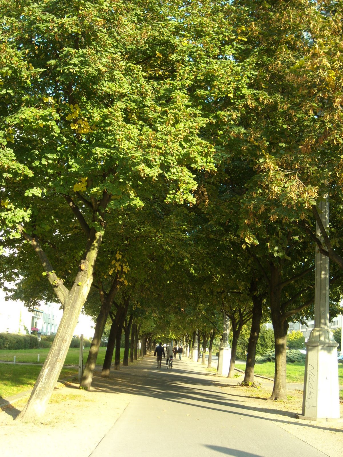 [DSCN0830.JPG]