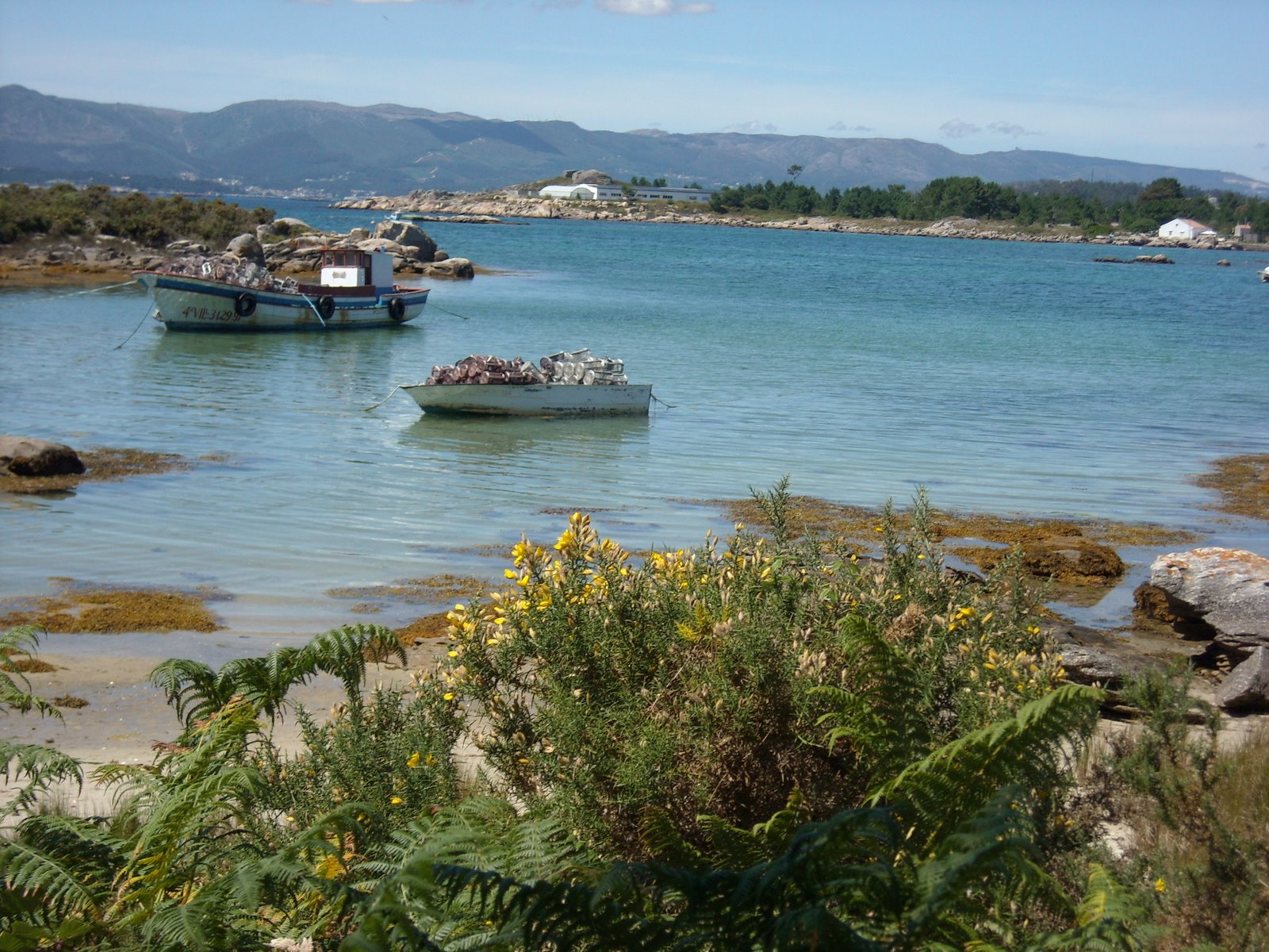 [DSCN3090.JPG]