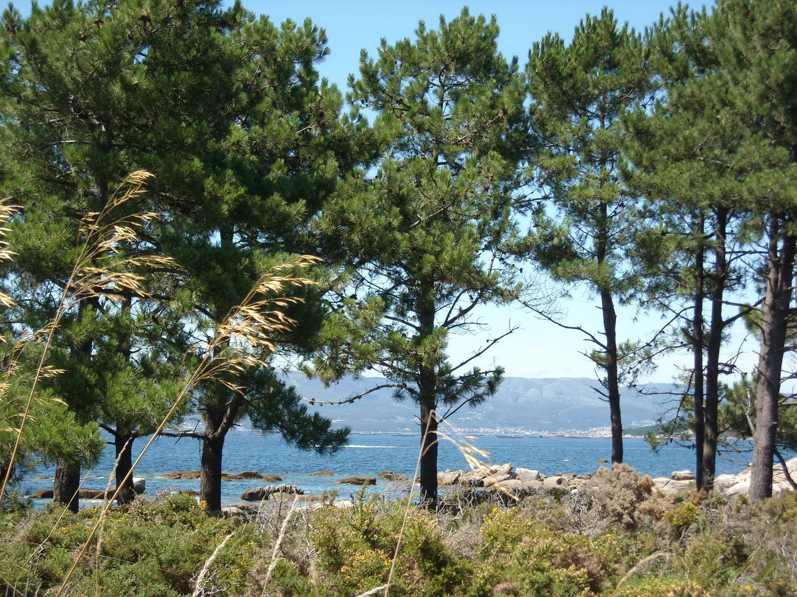 [DSCN3108.JPG]