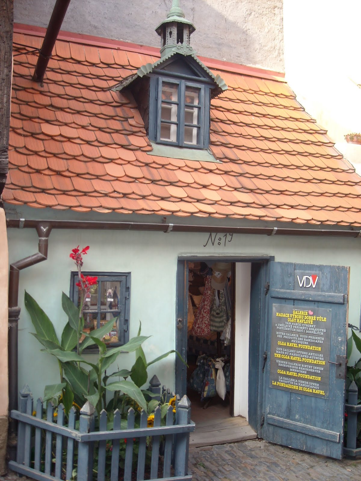 [DSCN4074.JPG]
