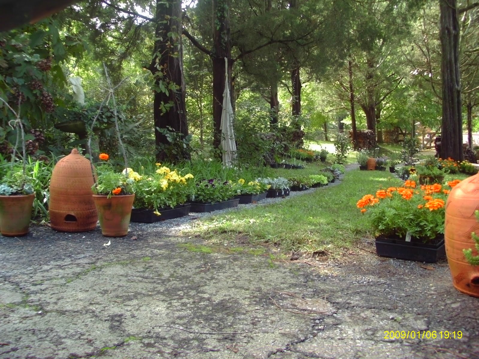 Oakton House and Gardens LE JARDIN JOLI FALL PLANT SALE