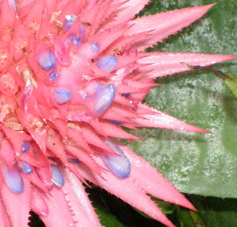 A little snipet of life