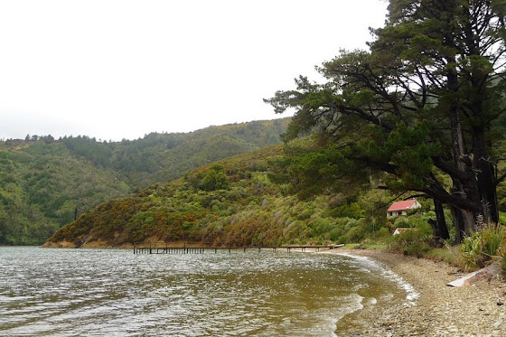 De más lejos así se miraba la casita en Picton