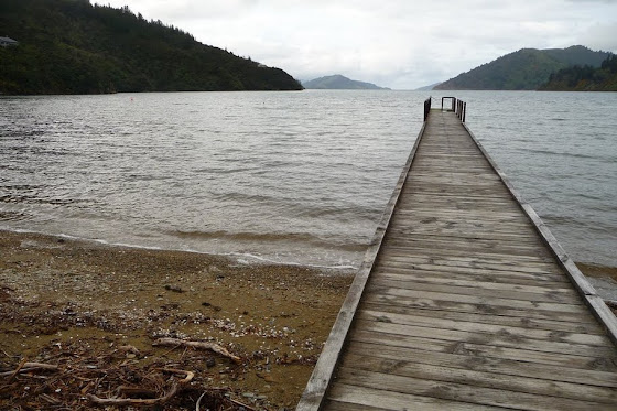 Así se ve el pequeño muelle desde la orilla en Picton