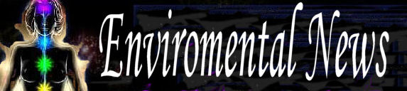 The Environment Womans zone