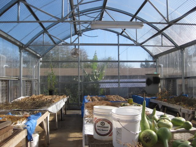 Gone With The Wind Groping Towards A Greenhouse