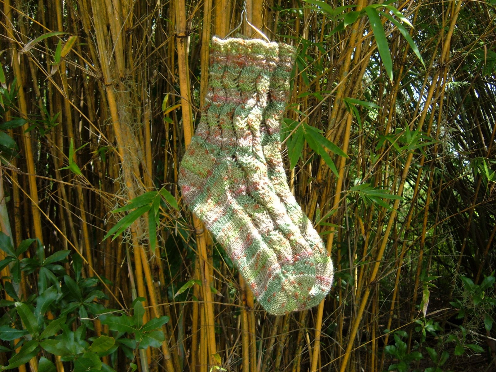 [Bamboo+Socks+005.jpg]