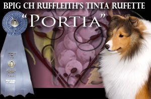 BPIG CH Ruffleith's Tinta Rufette