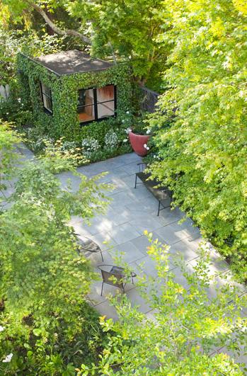 Shedworking: Parkside garden: ivy-covered garden office