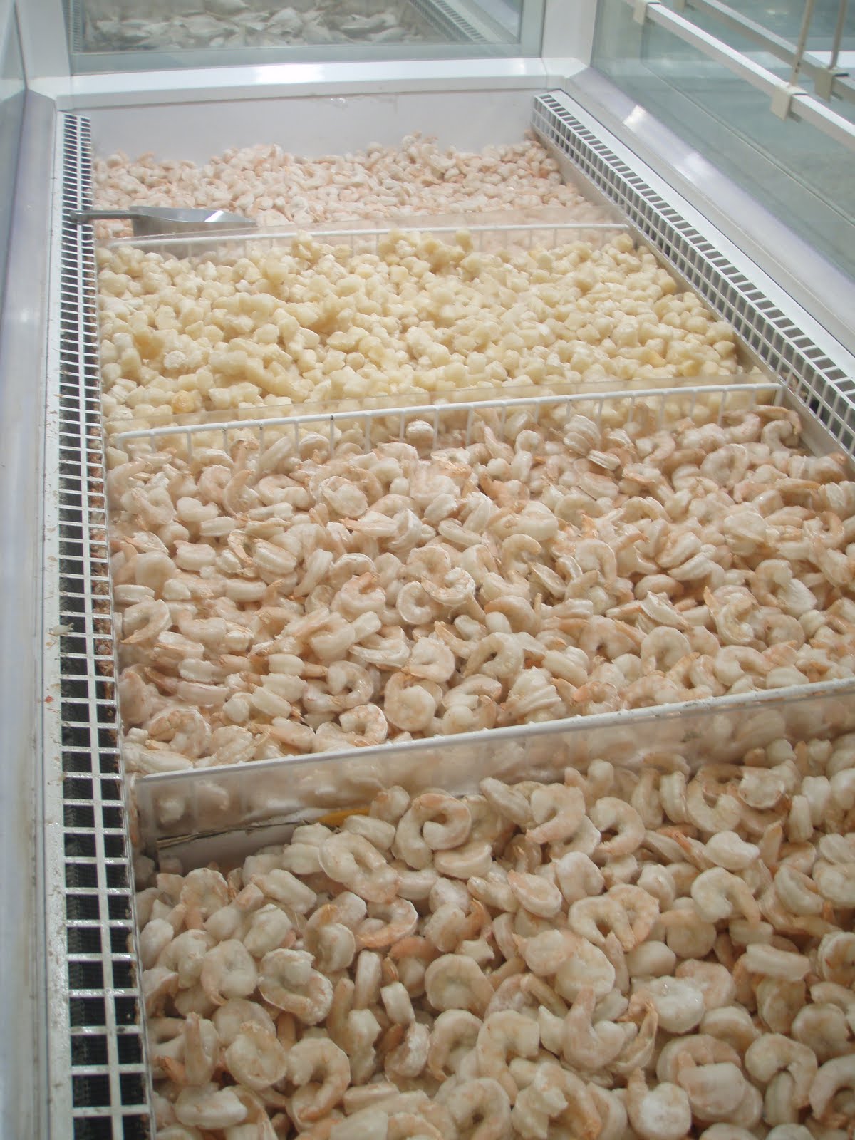 freestyle: Freestyle China???