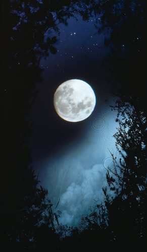 full-moon-briars.jpg