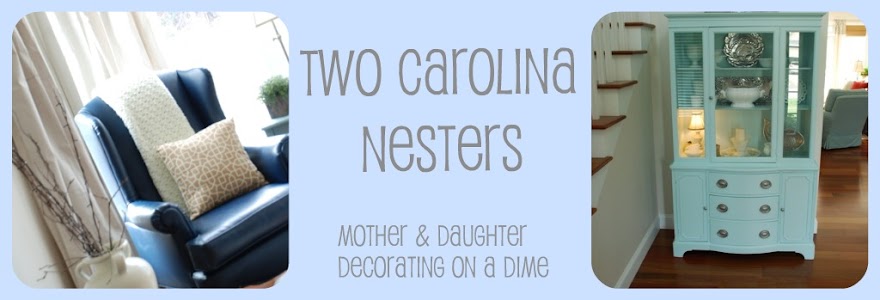 Two Carolina Nesters