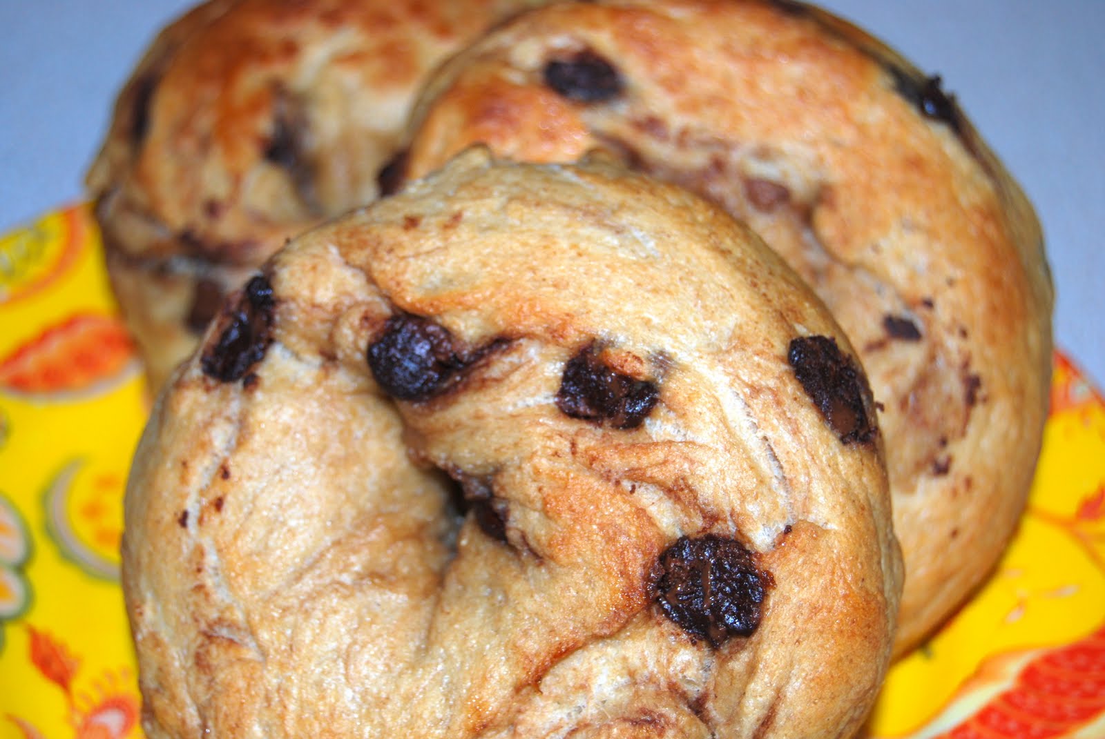 Suzie's Sweet Wheat Chocolate Chip and Cinnamon Raisin Bagel Recipes!!!