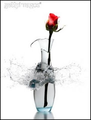 Estilhaços de amor